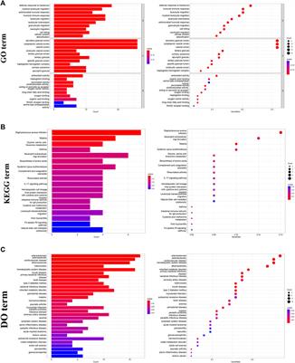 Identification and validation of novel biomarkers associated with immune infiltration for the diagnosis of osteosarcoma based on machine learning